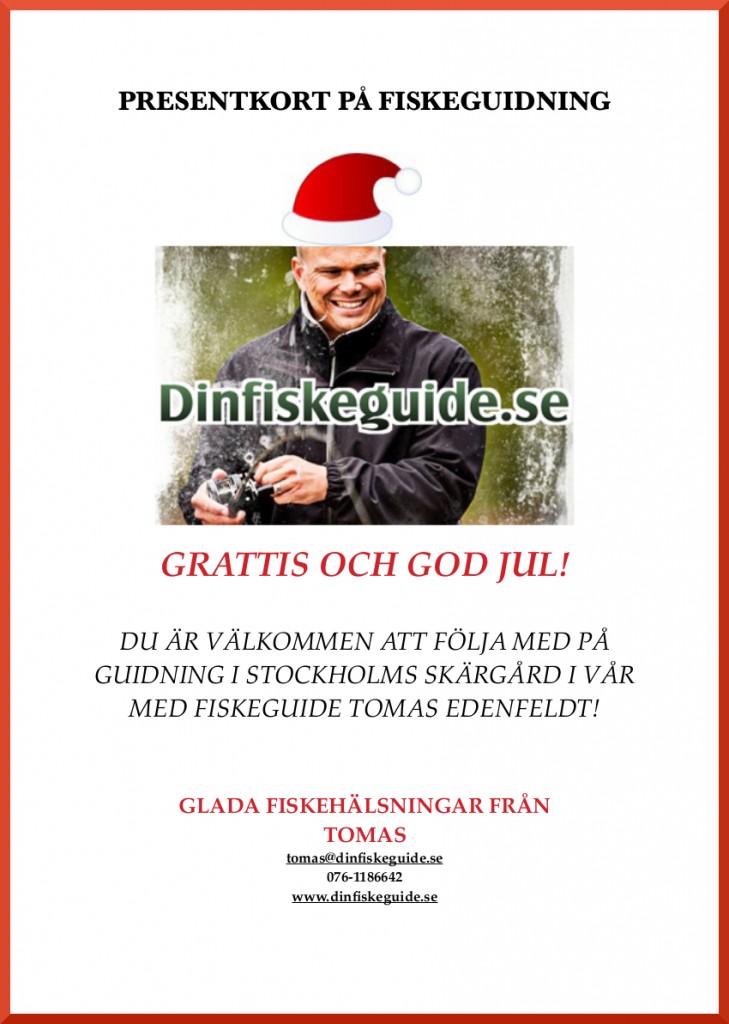 Enkel, snabb julklapp med värde som varar!
