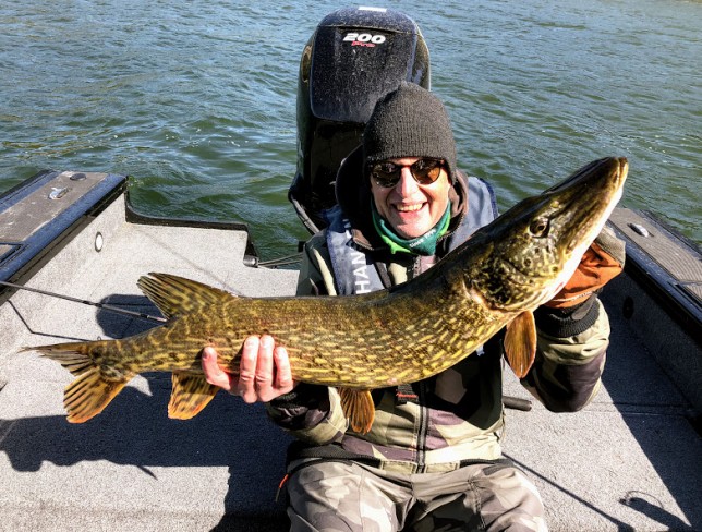 Lasses grova majgädda som hunnit äta upp sig rejält efter leken (18 maj 2018)