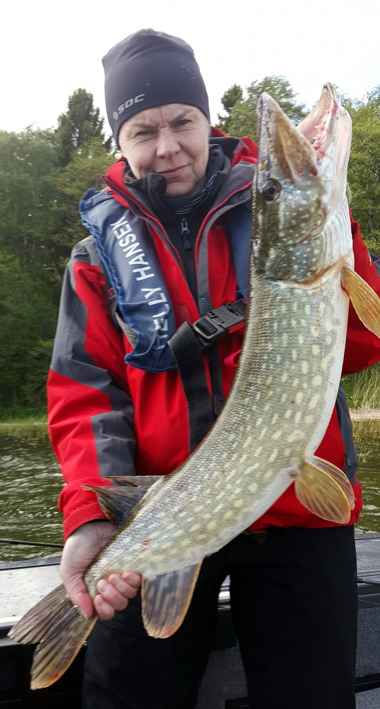 Gunillas gädda
