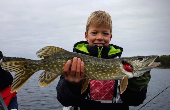 Stolt fiskare med livets första gädda!