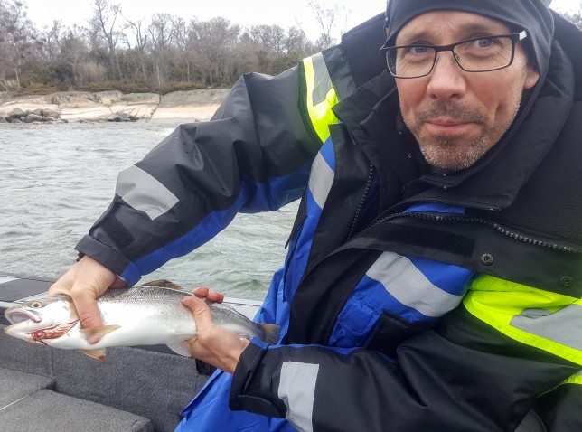 Pigg öring som högg i dyningarna