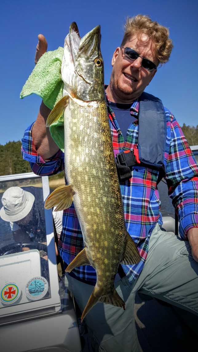 Rickards gädda