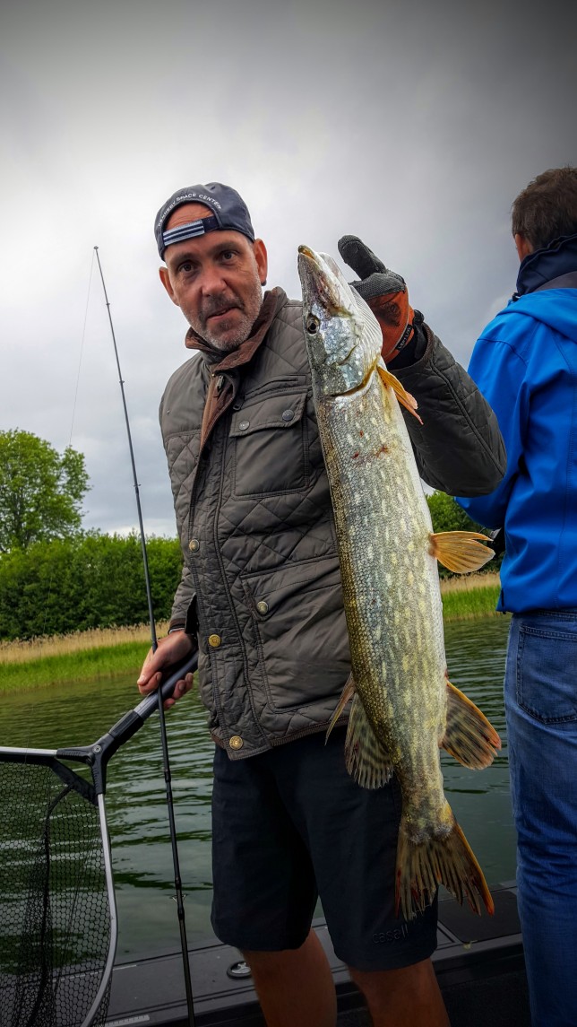 Anders gädda