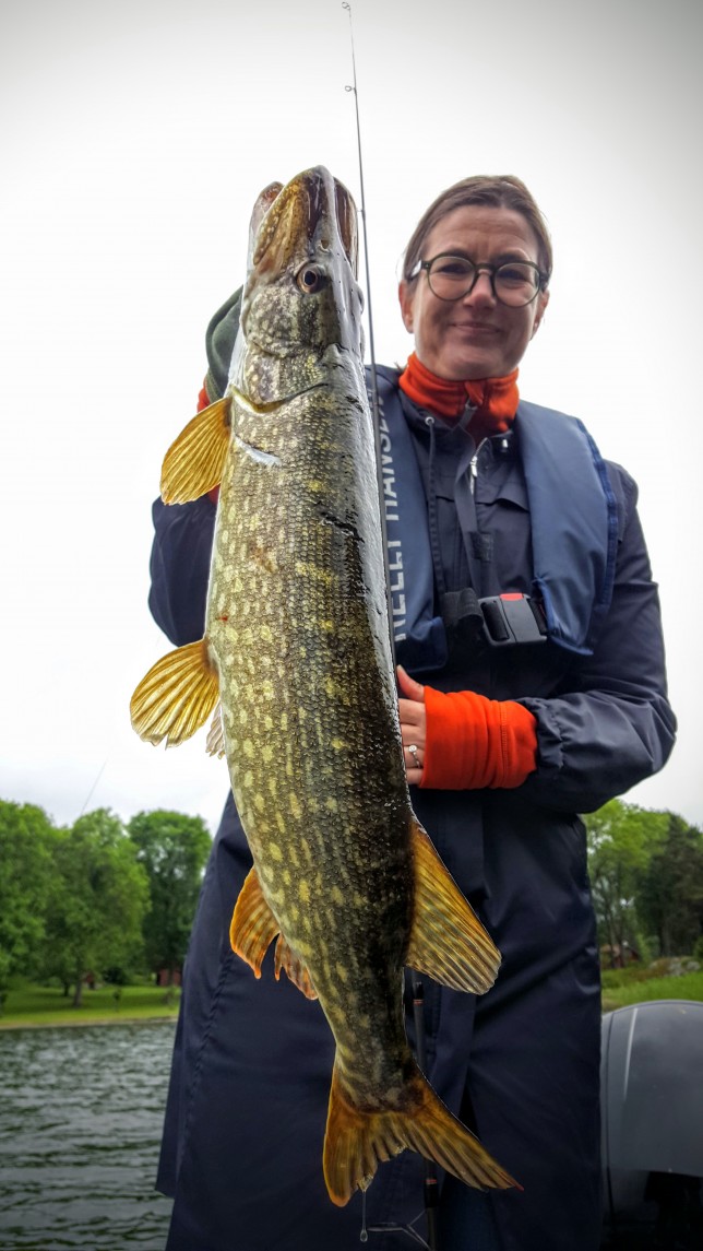 Helenas gädda
