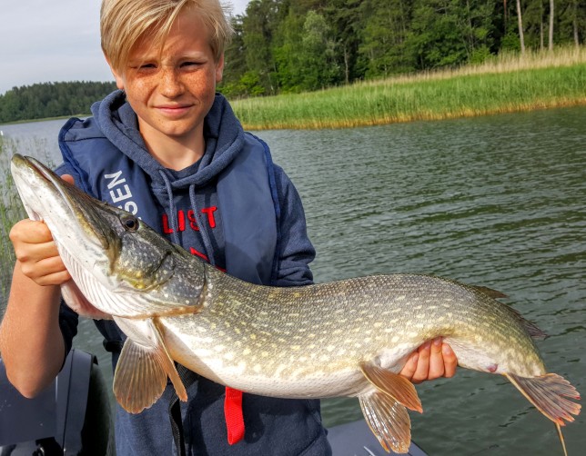 Fredriks gädda