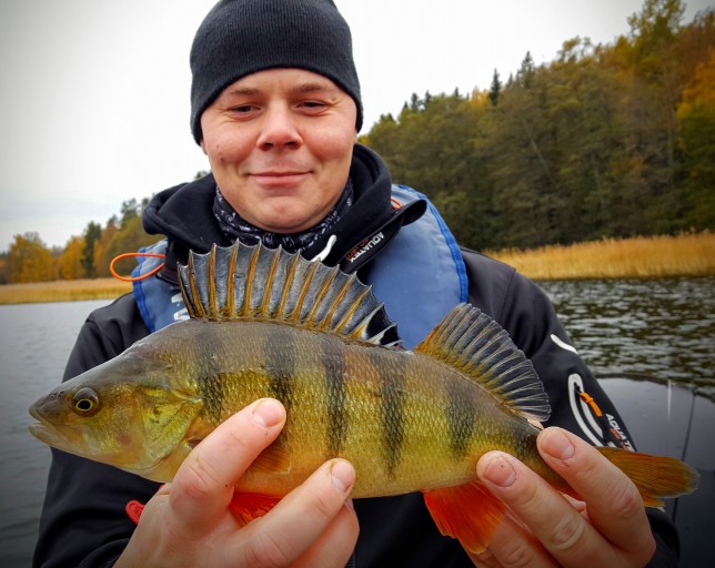 En av många fina abborrar för Jonas