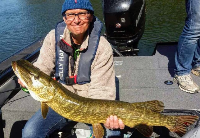95 centimer lång gädda, tagen på ett litet skeddrag 2018. 