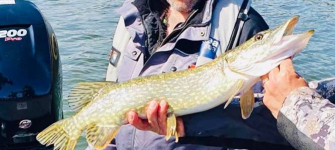Fiskeglädje och fiskarglädje!