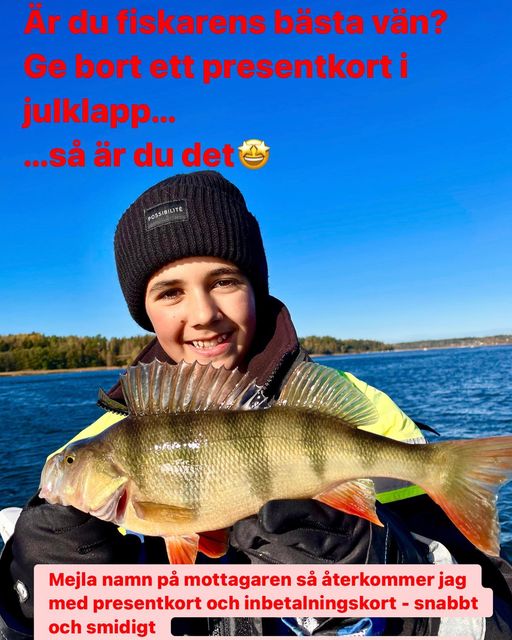 Presentkort i julklapp!